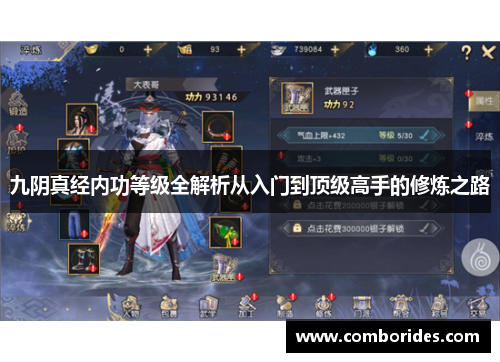 九阴真经内功等级全解析从入门到顶级高手的修炼之路